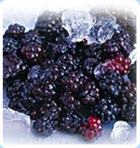 blackberries