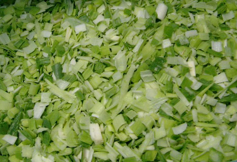 spring onion